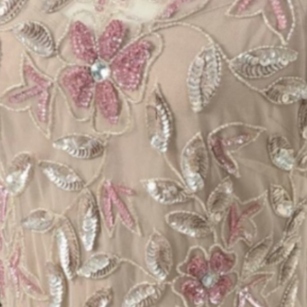 Adrianna Papell Sz 10, floor length, short sleeve, rose gown with sequins, beads - Picture 7 of 12